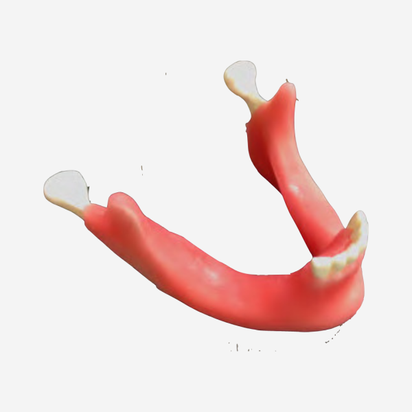BONE AUGMENTATION - REGENERATION - DM 904
