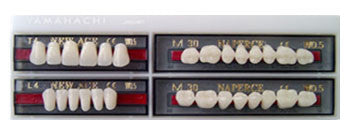 Yamahachi Acrylic Resin Teeth